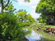左近川親水緑道