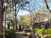 小松川境川親水公園