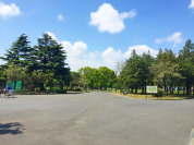 篠崎公園 