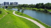旧中川　遊歩道