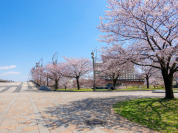 大島小松川公園