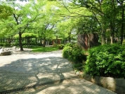 中央森林公園
