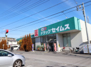 ドラッグセイムス江戸川鹿骨店