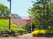 富士公園