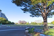 桃井原っぱ公園