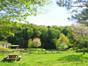 野山北・六道山公園