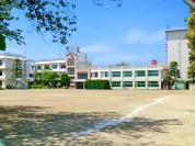 大田区立田園調布中学校