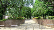 白銀公園