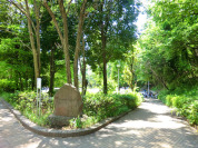 山口白山公園