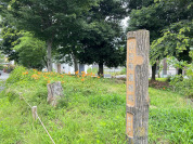 四谷南通緑地