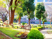 都立戸山公園（箱根山地区）