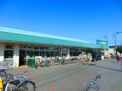 マルエツ保谷住吉店