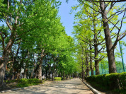 世田谷区立羽根木公園