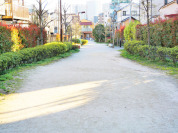 不動前緑道公園
