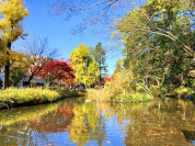 宝来公園 