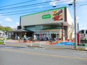 コープみらい コープ亀有店