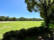 新小岩公園