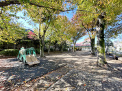 森の公園