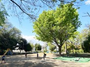 練馬区立 高稲荷公園