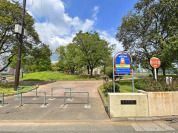 谷中公園
