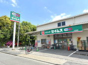 ドラッグセイムス大谷田店