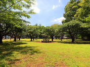 わかぐさ公園