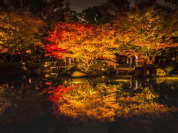 杉並区立大田黒公園