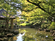 馬橋公園