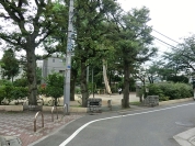 阿佐谷けやき公園