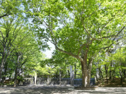 蚕糸の森公園