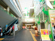 OdakyuOX成城店