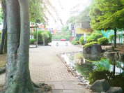 成城さくら公園