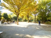 祖師谷三丁目公園