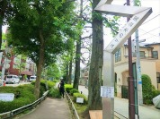 世田谷区立北沢川緑道ユリの木公園