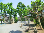赤堤けやき公園