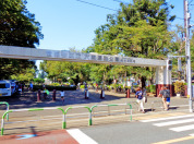 大蔵運動公園