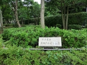 高井戸みどり公園