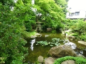 杉並区立天沼弁天池公園