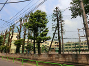 板橋区立上板橋第三中学校