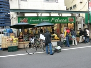 フレッシュランドフェルカ