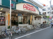 大丸ピーコック井荻店
