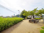 丸子川親水公園