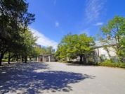 上池袋さくら公園