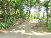 紅葉山公園