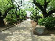 新井薬師公園