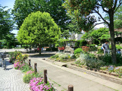 桜上水公園3