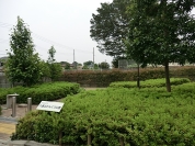 大道北どんぐり公園3