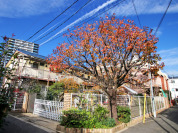 東京自由保育園
