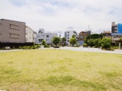 くすのき公園