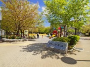 染井よしの桜の里公園